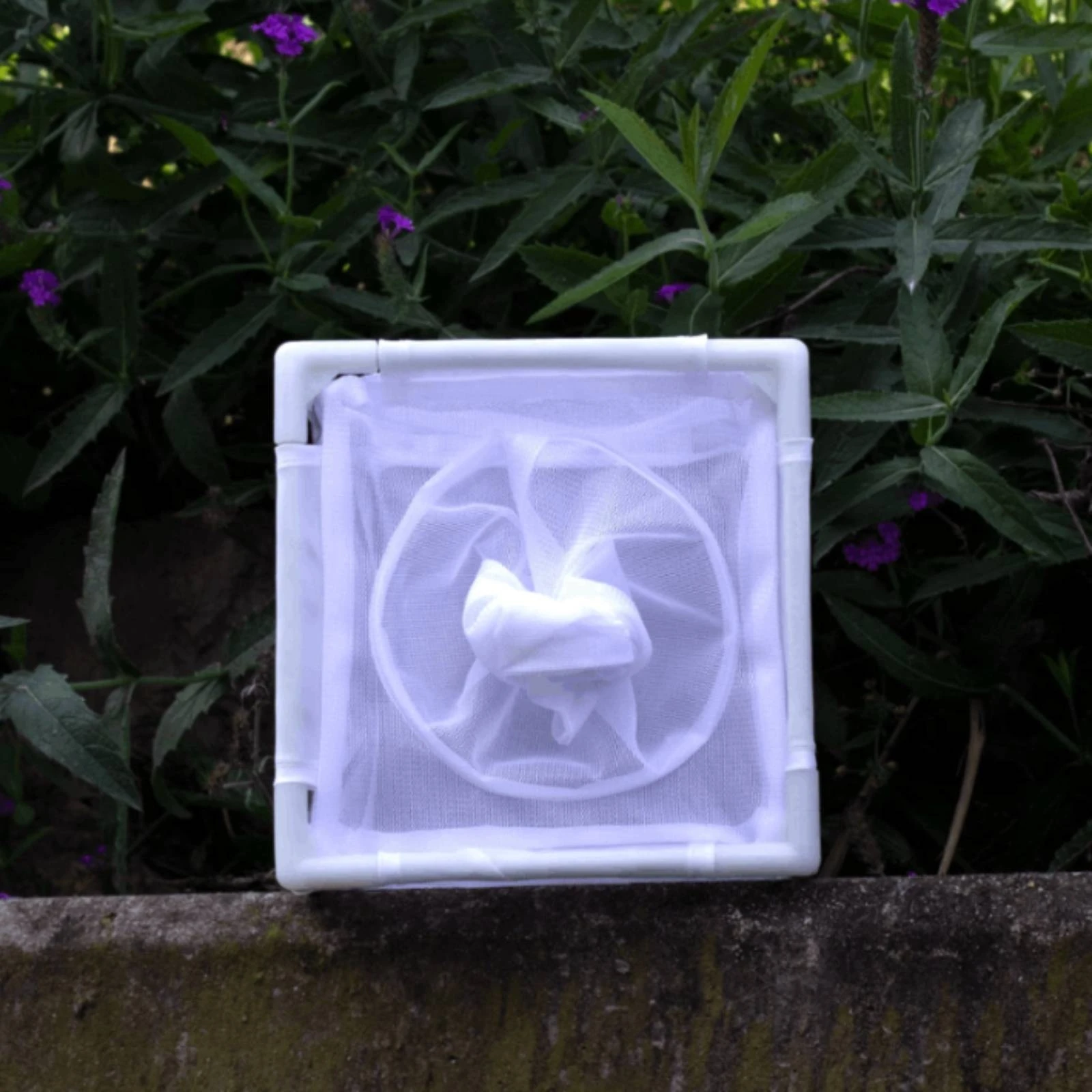 

Enclosure Circular Opening Cube Enclosure Caterpillar Enclosure Good Ventilation Creature Housing Easy to Observe