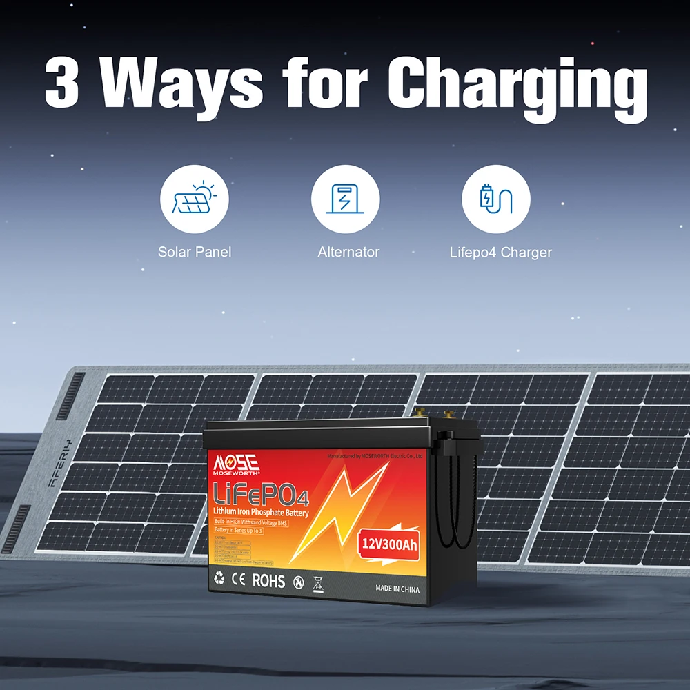 LiFePO4 12V 100Ah 200Ah 300Ah 50Ah Battery Pack Grade A 6000+ Cycles With BMS For RV Golf Cart Boat Solar Battery 12V Lithium