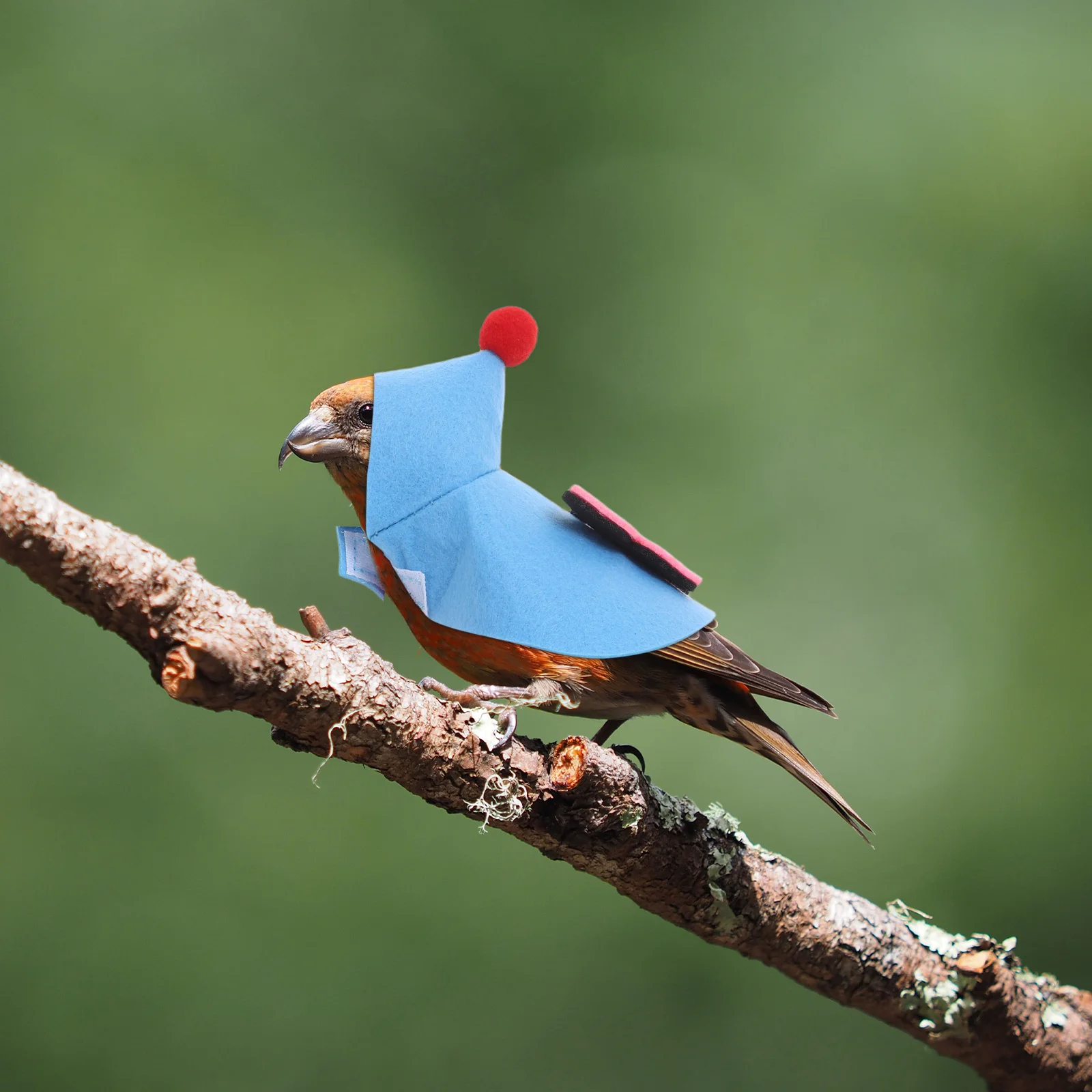 

2Pcs Christmas Parrot Cape Warm Felt Bird Winter Wear for Cockatiels Budgies - Adjustable Plaid Pet Parrot Costume Outfit Small
