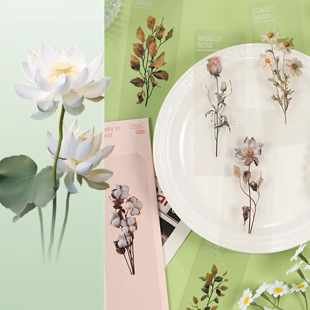 

6 pcs/pack Cute Flower Series Bookmarks Originality Retro Flower Leaves Bookmarks Natural Plants Transparent Pet Page Marker