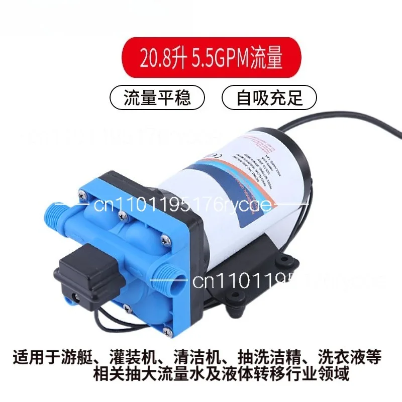 5.5GPM large flow 110V AC electric diaphragm pump 220V irrigation booster garden spray self-priming pump
