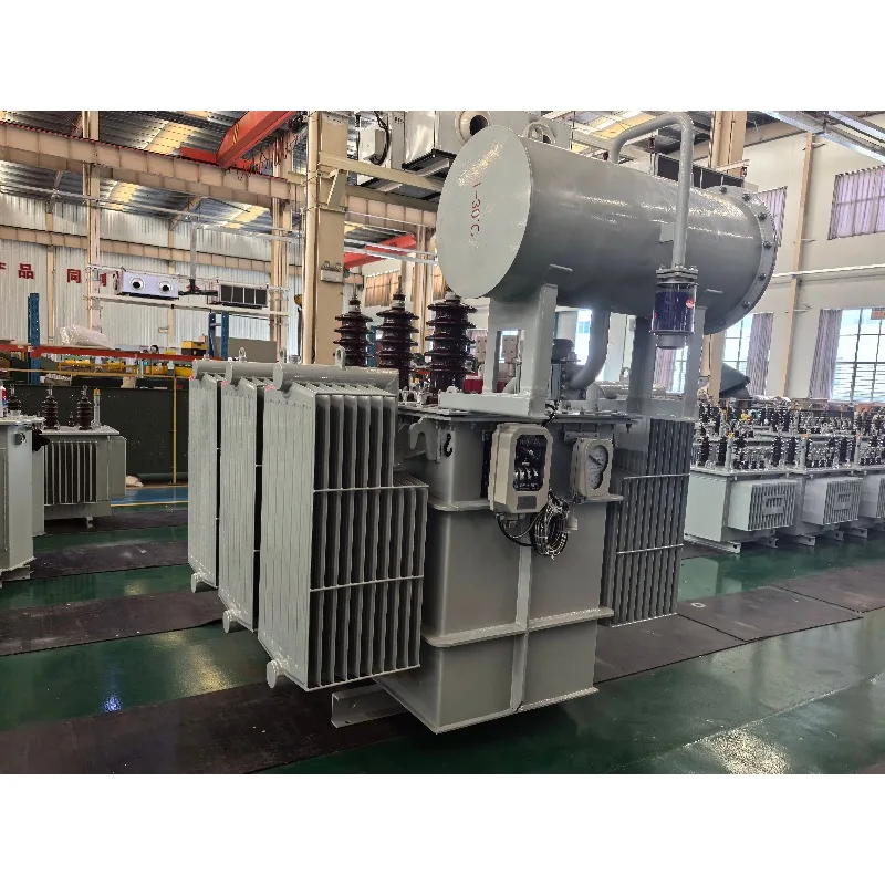 Customized Oil Immersed Transformer OEM Three Phase 6kv-33kv 220V Output For Wind Solar Farm