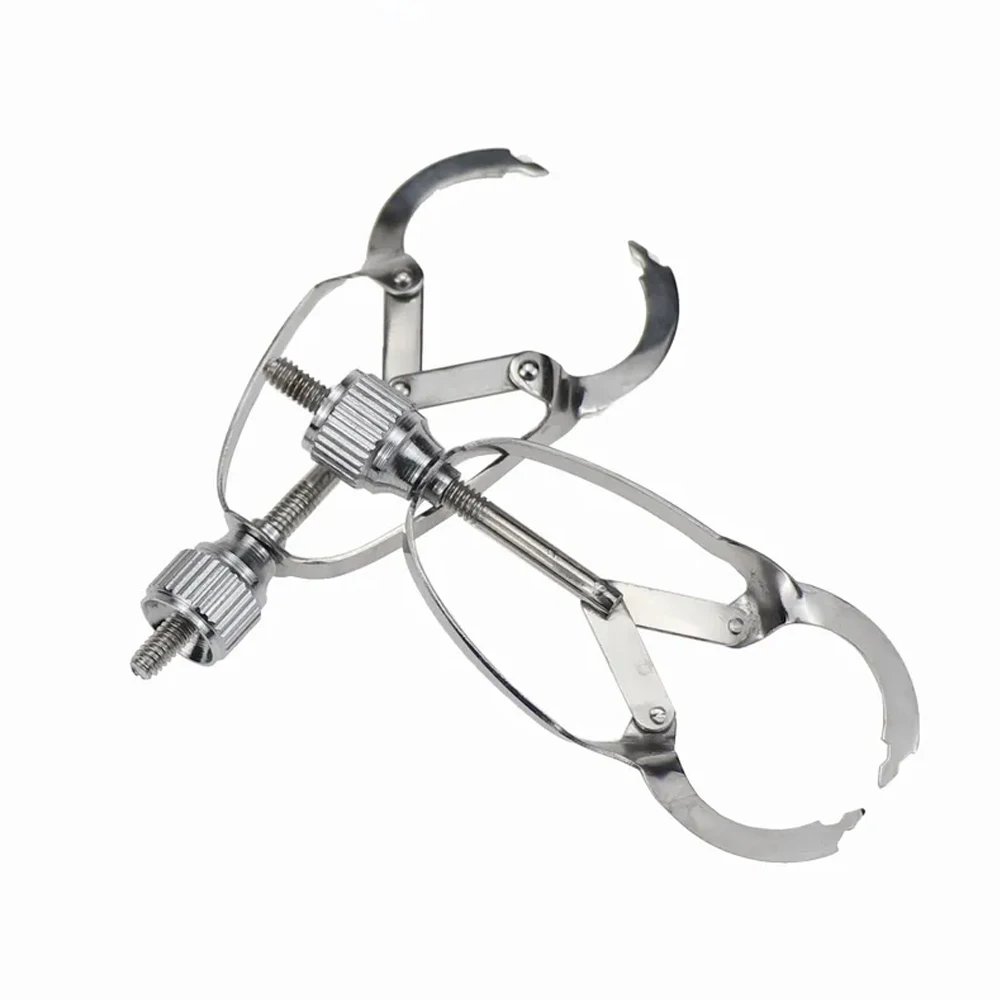 PIORPOY Stainless Steel Dental Ivory Matrix Band Retainer Clips Instruments Dentistry Matrices Holders Bang Forming Sheet Plier