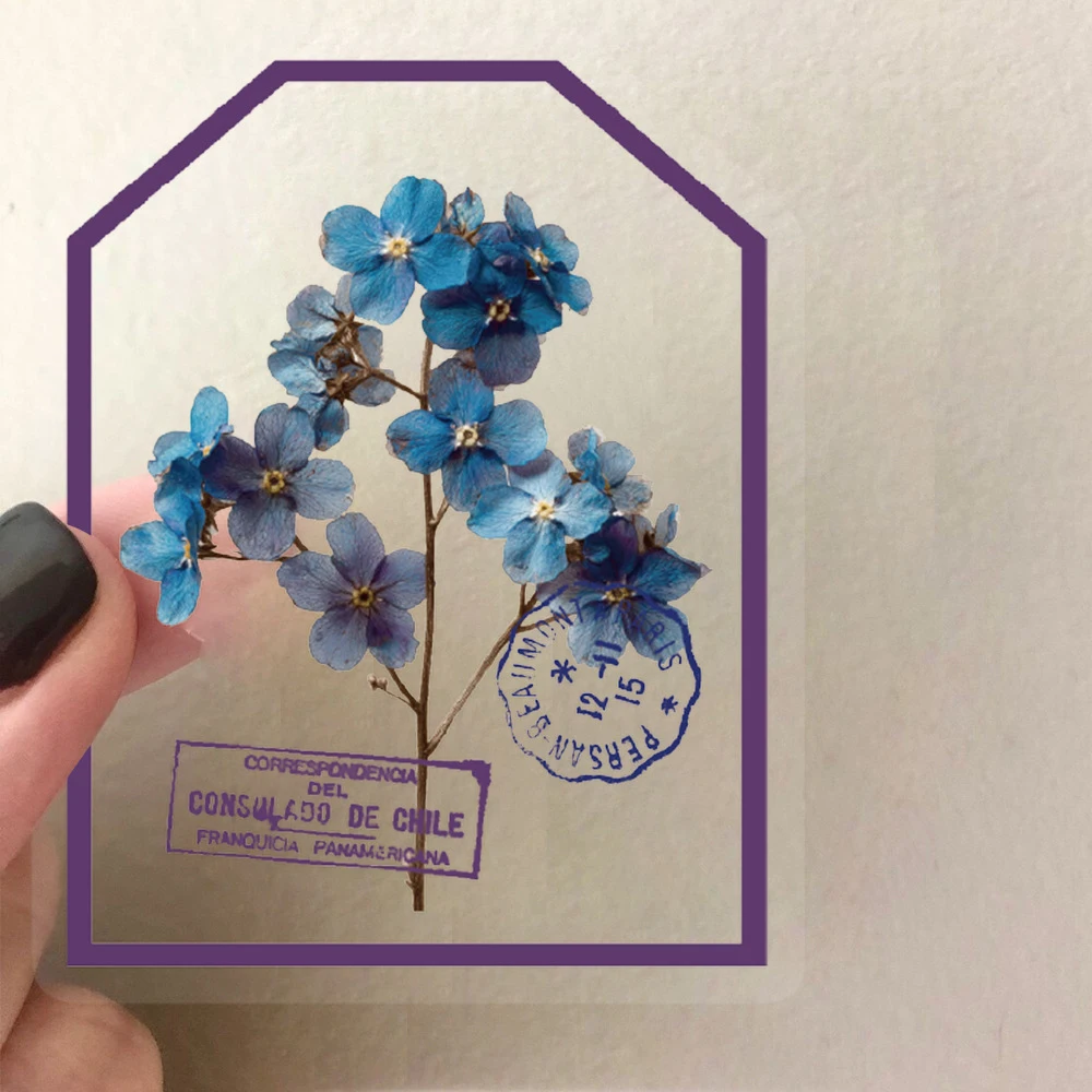 10/30/50 قطعة الجمالية الأرجواني زهرة ختم ملصقات شفافة الكتابة على الجدران ملصق DIY بها بنفسك دفتر الأمتعة الهاتف مقاوم للماء PET الشارات