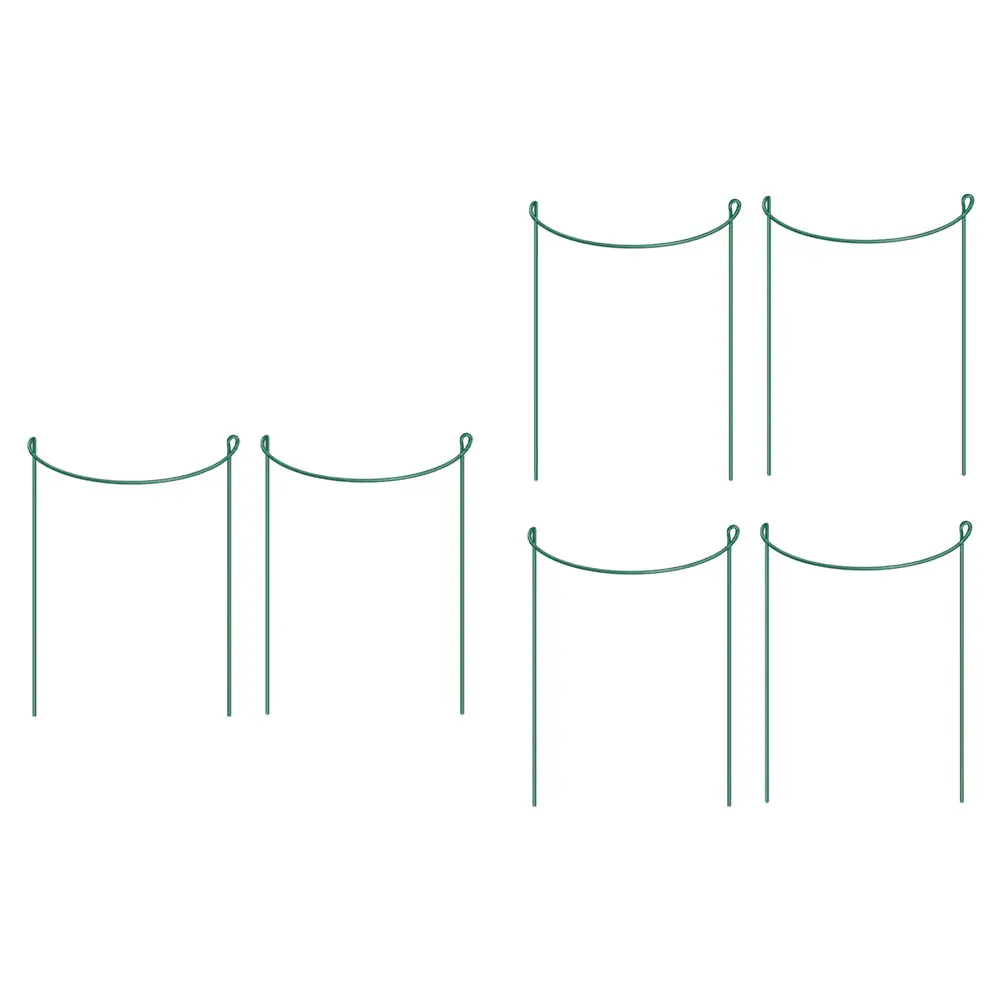

6 Pcs Plant Support Frame Iron Durable Reusable Graceful Line Smooth Finish Upright Plants Normal Growth Guide Stems Correct
