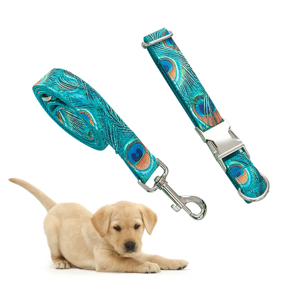 

2 Pcs Dog Leash for Small Medium Large Dogs Puppy Harness Adjustable Pet Strap Leading Collar