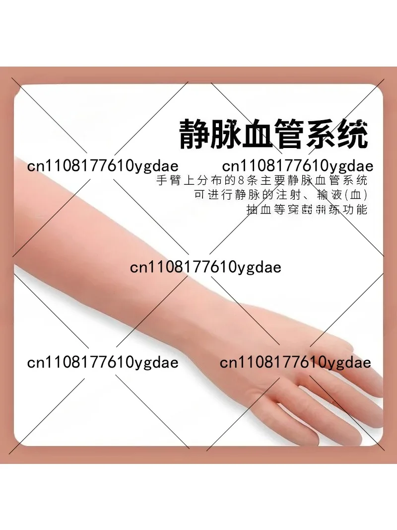 Venipuncture & Intramuscular Injection Training Arm Model - Medical Practice Simulator for Healthcare Education