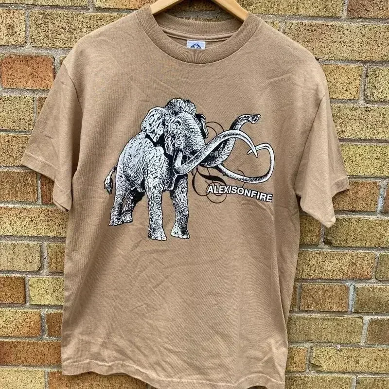 Vintage 90s Alexisonfire Emo Post Hardcore Rock Band T Shirt Medium