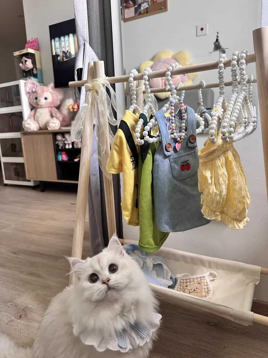 반려동물 바닥 행어 강아지 옷장, 단단한 나무, 강아지 고양이 옷장, 코트 랙, 개 행어, 작은 옷 보관 랙