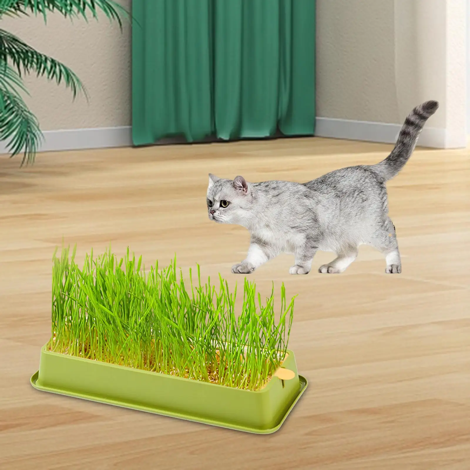 Cat Grass Growing Tray with Separate Handle for Easy Clean Seed Sprouter Tray for Indoor Outdoor Hydroponic Wheatgrass Bean