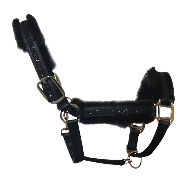 horse riding equipment headstall