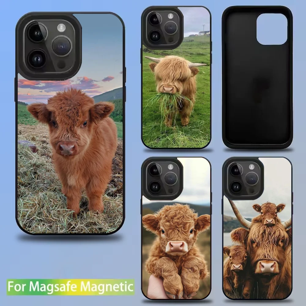 

Cute Highland Cow Phone Case For IPhone 16 15 14 13 12 11 Pro Mini Max Soft Magnetic Cover