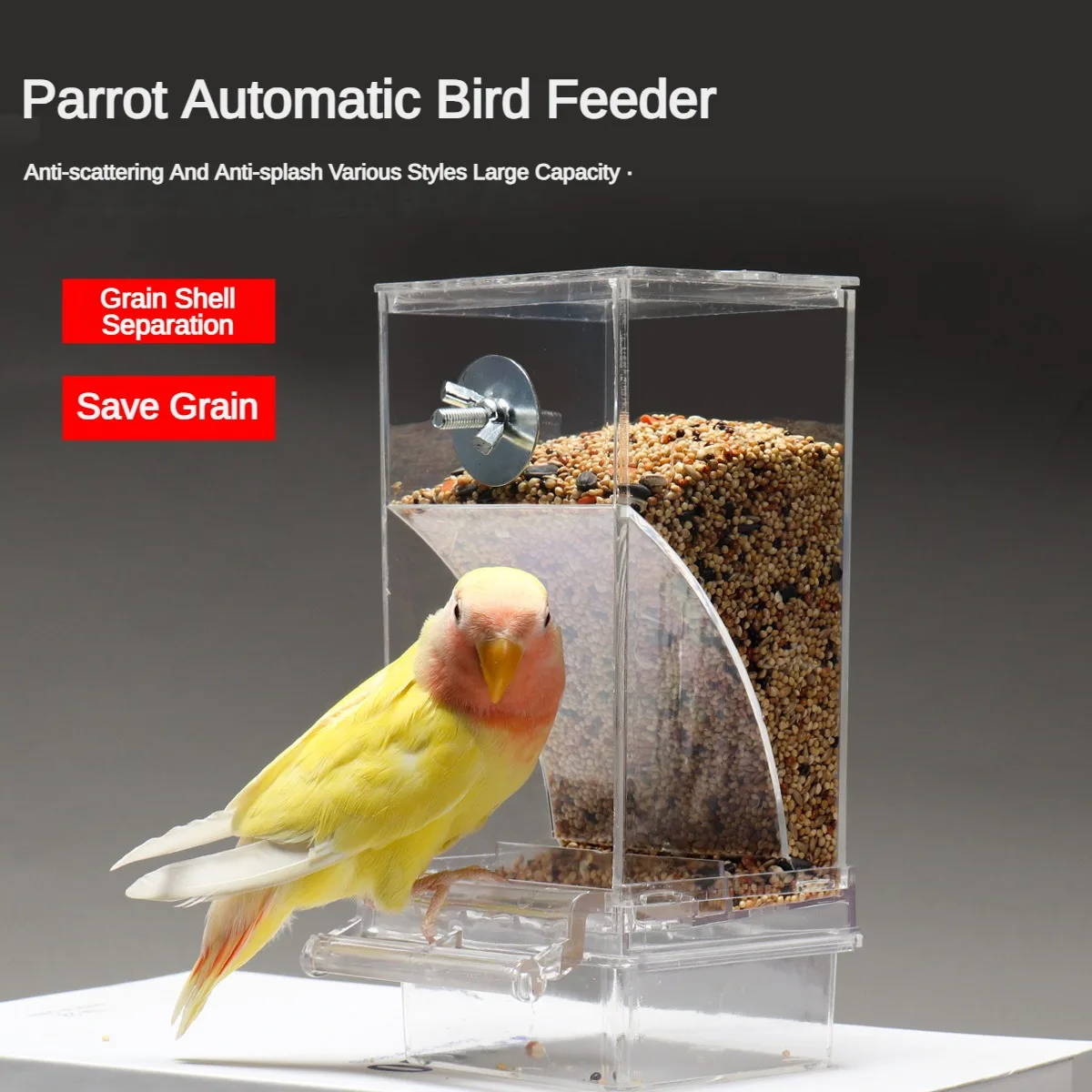 Automatic Parrot Feeder Anti-splash Anti-splash Neat Bird Feeder Seed Food Container Feeder Bird Cage Accessories for Parakeets