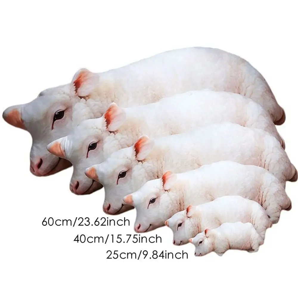 Product photo 6