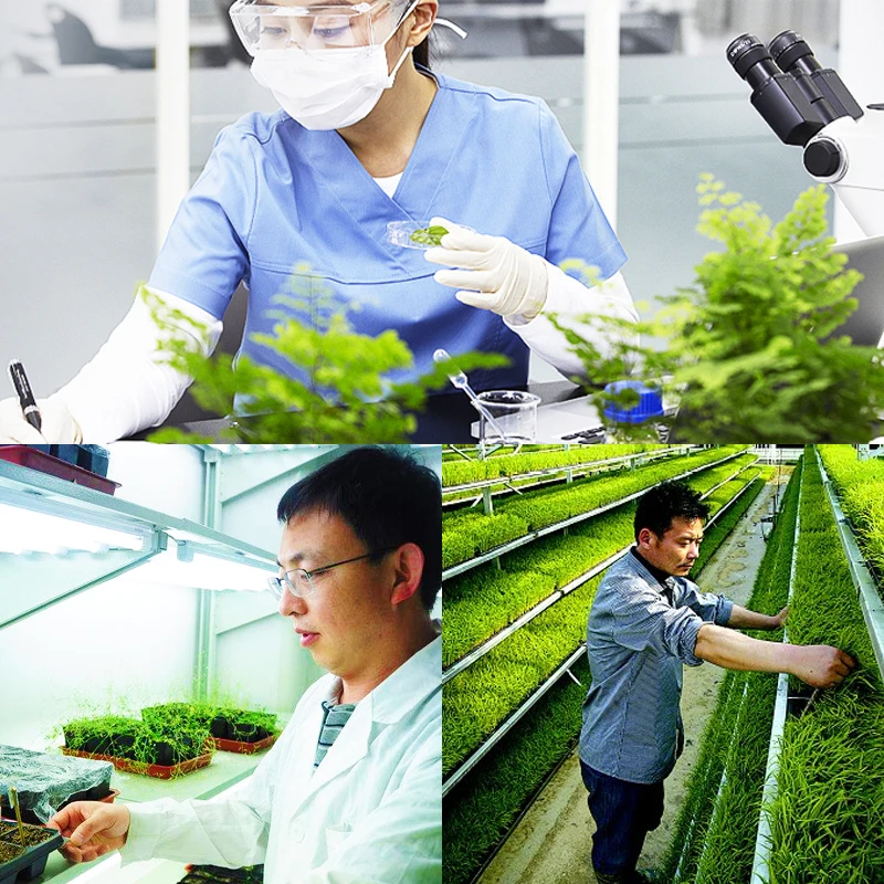 Plant Growth Regulator Atonik Sodium 5-Nitroguaiacolate Natrium Nitropenolate Salt Plant Fertilizer