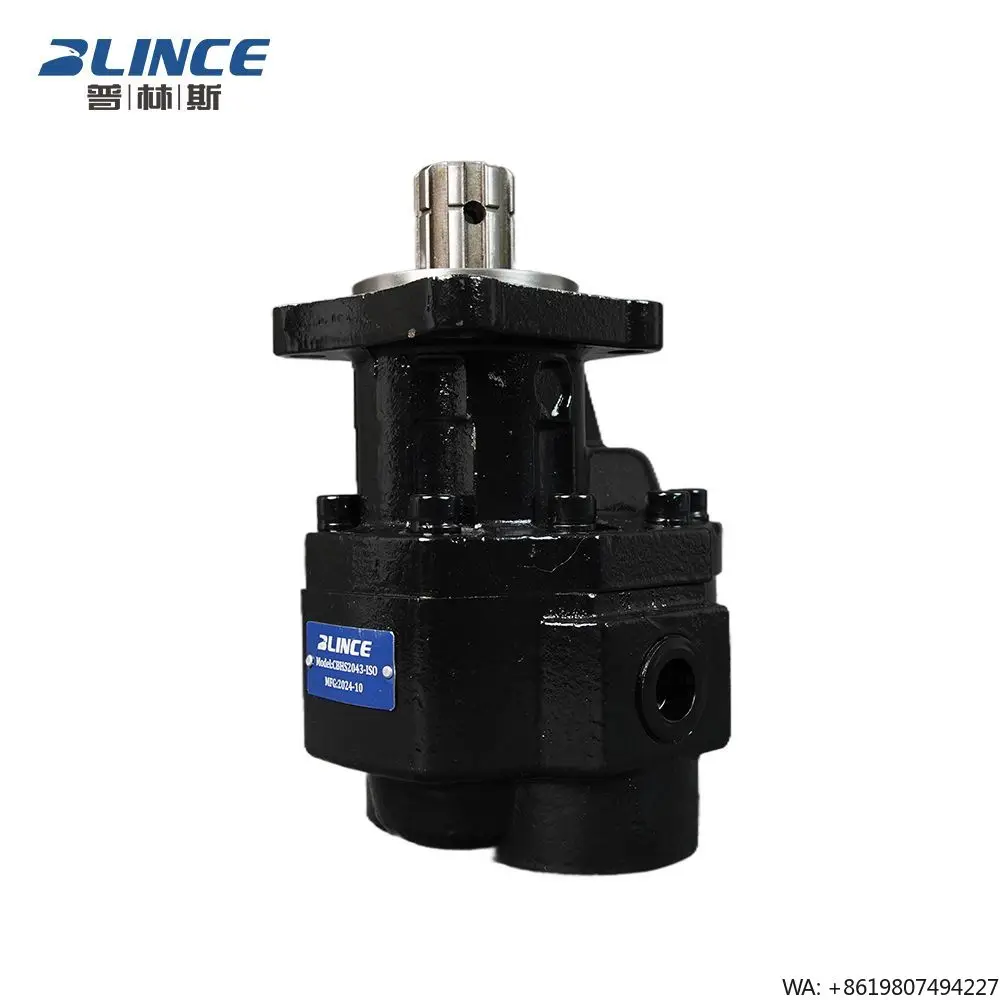 Blince High Pressure Hydraulic Cast Iron Mini Excavator Truck Mounted Crane Gear Oil Pump HYVA CBHST1 Hydraulic Gear Pump