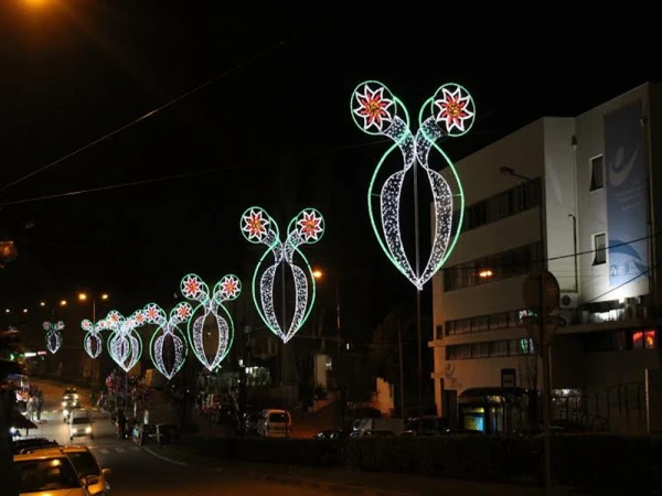 Decoração exterior luz, rua levou luz 2d