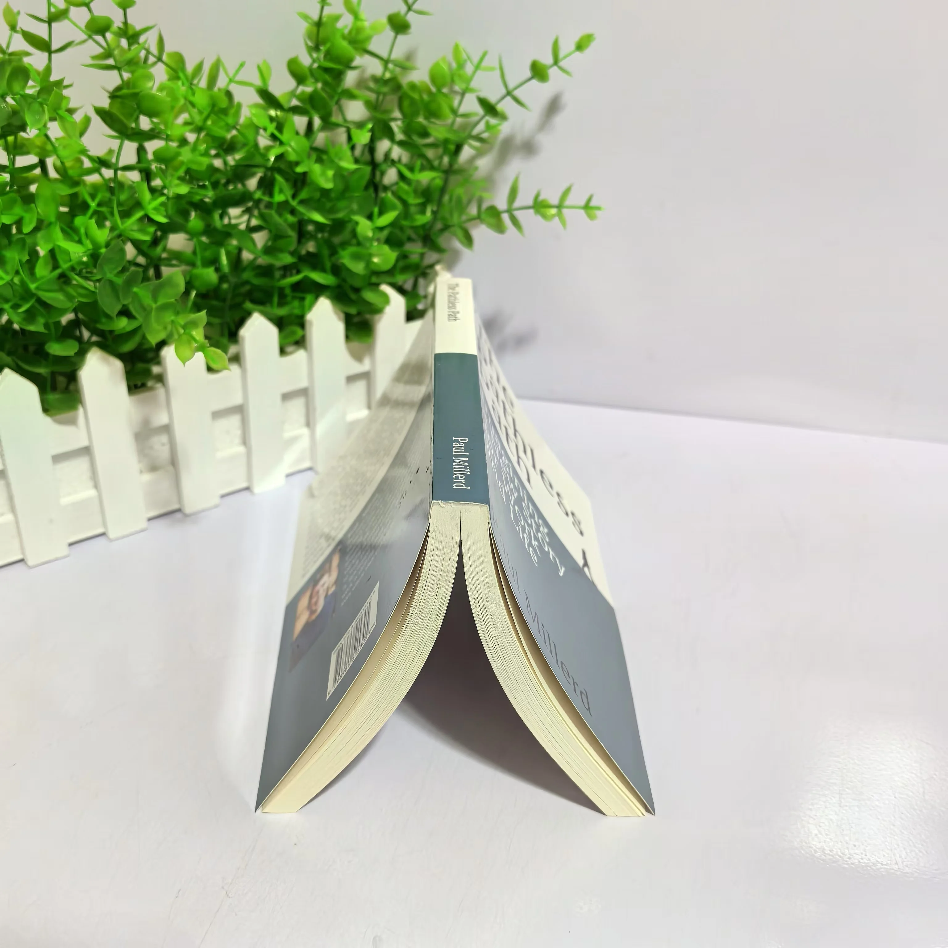 The Pathless Path от Paul Millerd: Embrace Non-Traditional Careers & Live Free English в твердом переплете