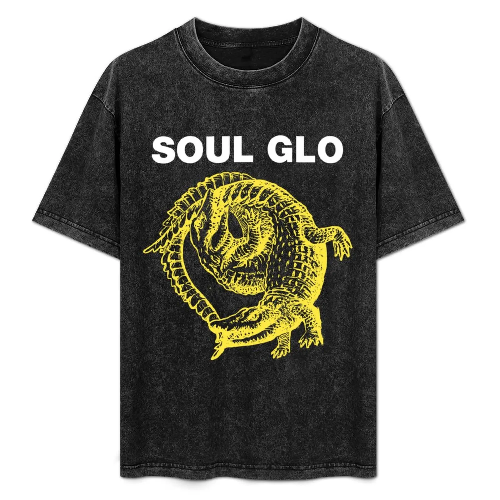

Diaspora SOUL GLO Problems T-Shirt Plus Size Non-Shrink T-Shirt