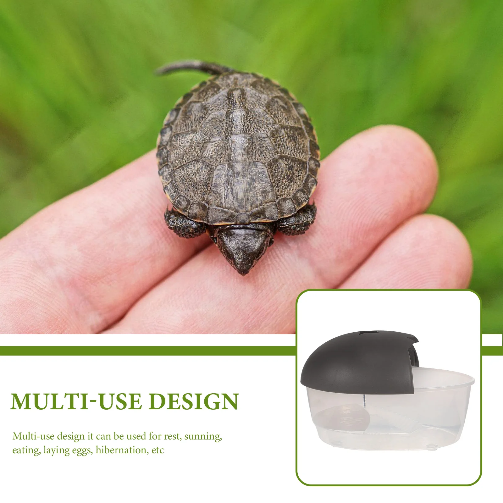 

Small Gray Cover Turtle Tank Creative Plastic Container for Brazilian Turtle Feeding Box Ramp Multi Function Aquarium Reptile