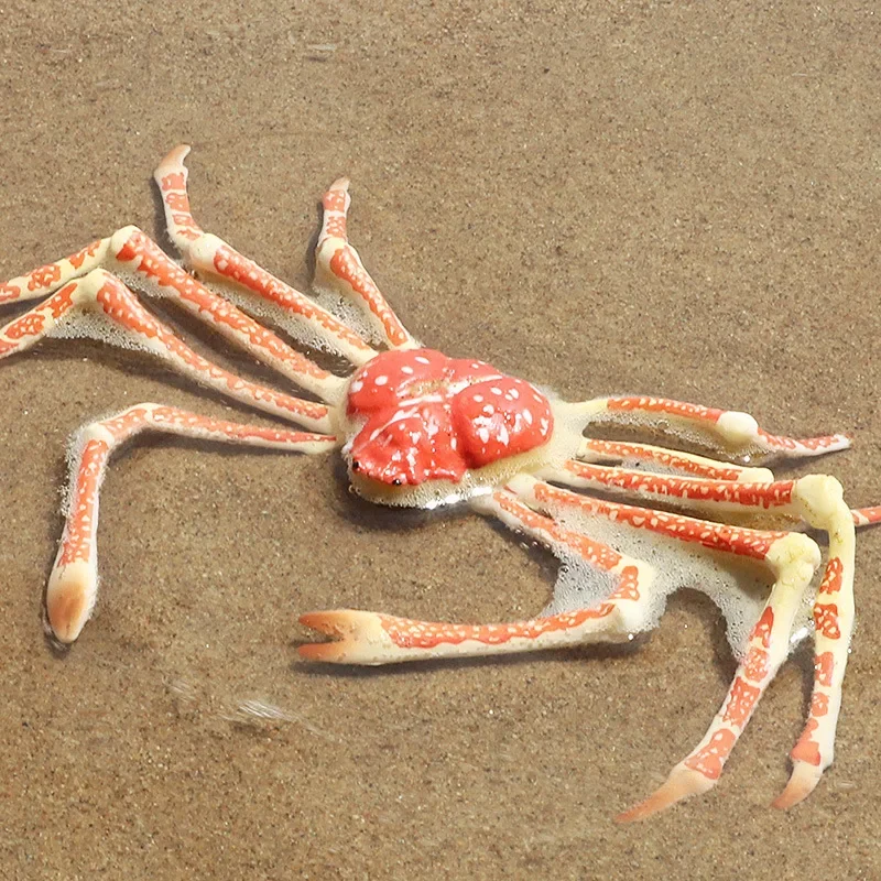 Children's Cognitive Toys Simulation Marine Animal Model Static Solid Spider Crab King Crab Crab Plastic Ornaments Puzzle Toys