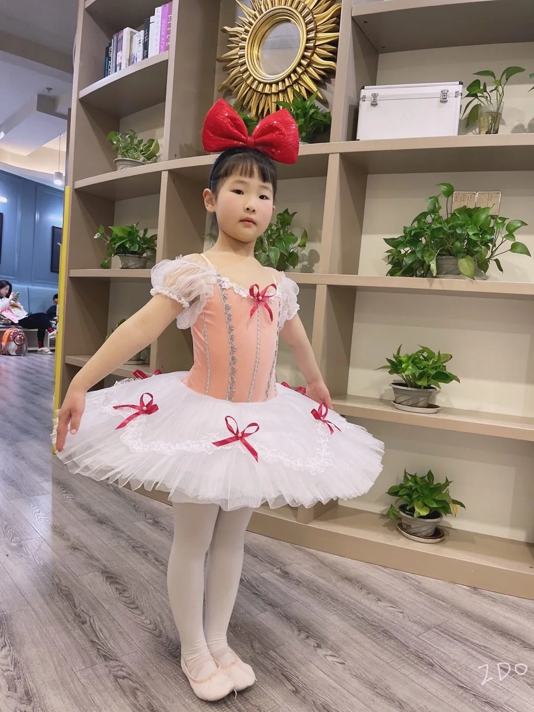 Puff Sleeves Classical Ballet Tutu Girls Ballet Dress Professional Pink Romantic Ballet Costume Dance Bodysuit Performance Cloth