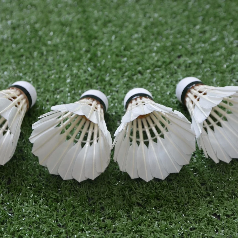 المعتمدة نوعية جيدة ريشة أوزة الريشة الريشة جيدة مثل التسمية السوداء