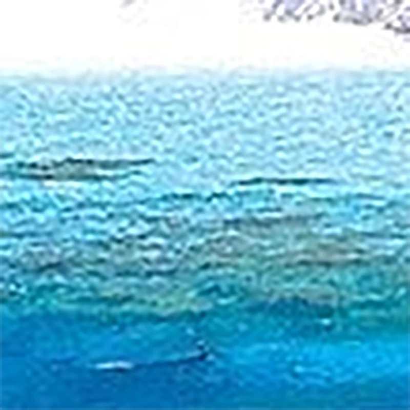 

Sexy Women's Panties Lingerie G String Thongs Lace Underwear Female Perspective Women's Thong Pearl Panties Transparent Knickers