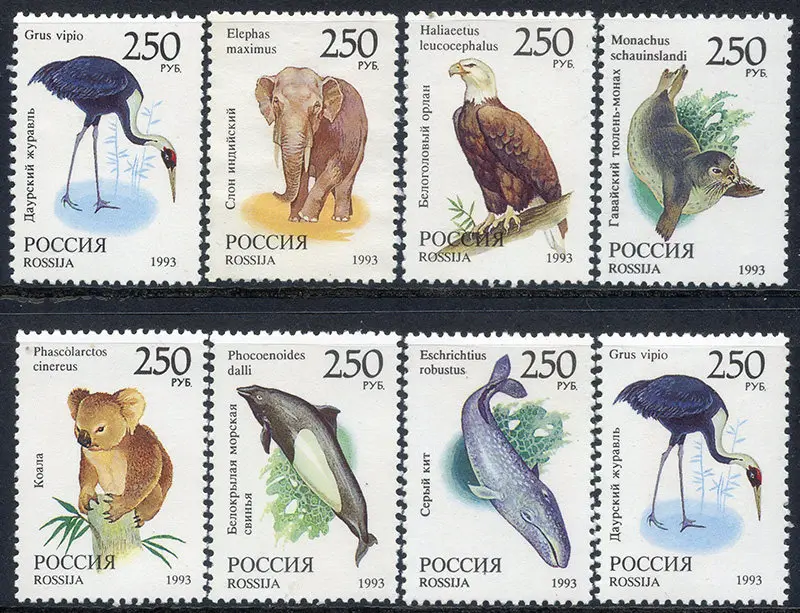 Russland-Poststempel, Postversand, Jahr 1993, seltenes Tier, Panda, Koala, kompletter Satz, 8 neue Sammelbriefmarken, Material für Scrapbooking – Detail 1