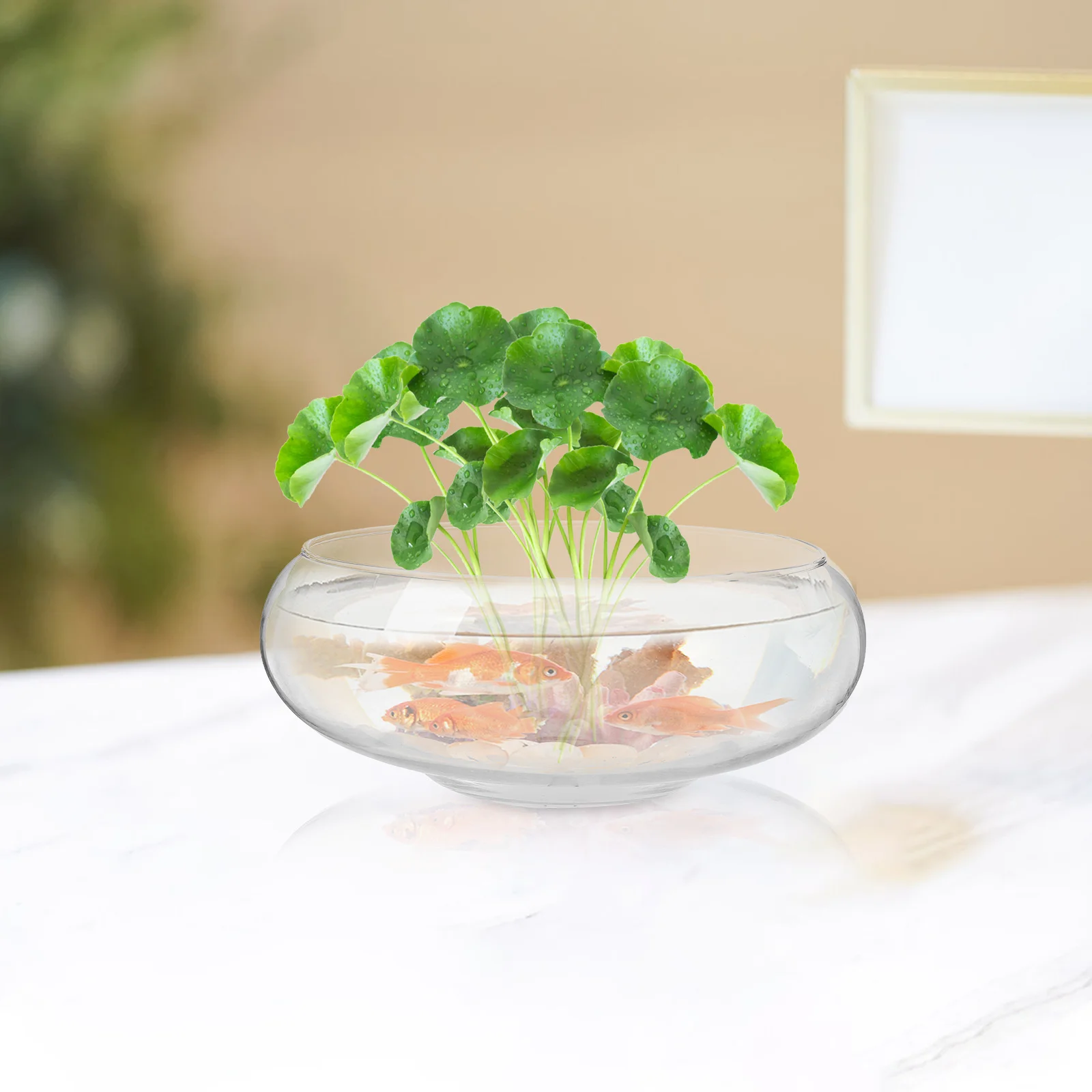 

Glass Clear Succulent Pot Small Planter Pot for Indoor Plants Table Decoration Hydroponic Container Air Plant Terrarium Small