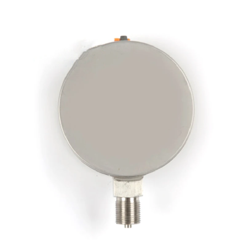 Manometro in acciaio inossidabile per ambienti difficili e corrosivi