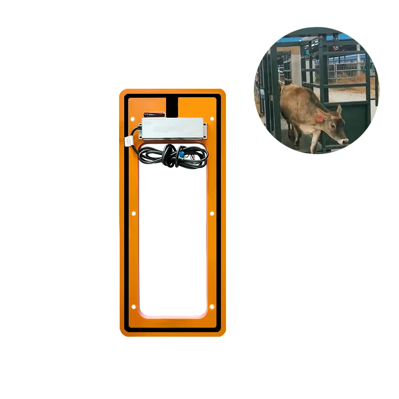 Lector estacionario RFID de etiqueta de oreja HDX de FDX-B de largo alcance de lectura de 1210x330mm escáner de panel de canal EID para báscula de ganado y ovejas
