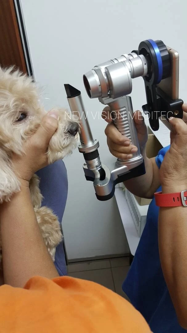 Pets Slit Lamp Veterinary Slit Lamp Microscope Digital Slit Lamp
