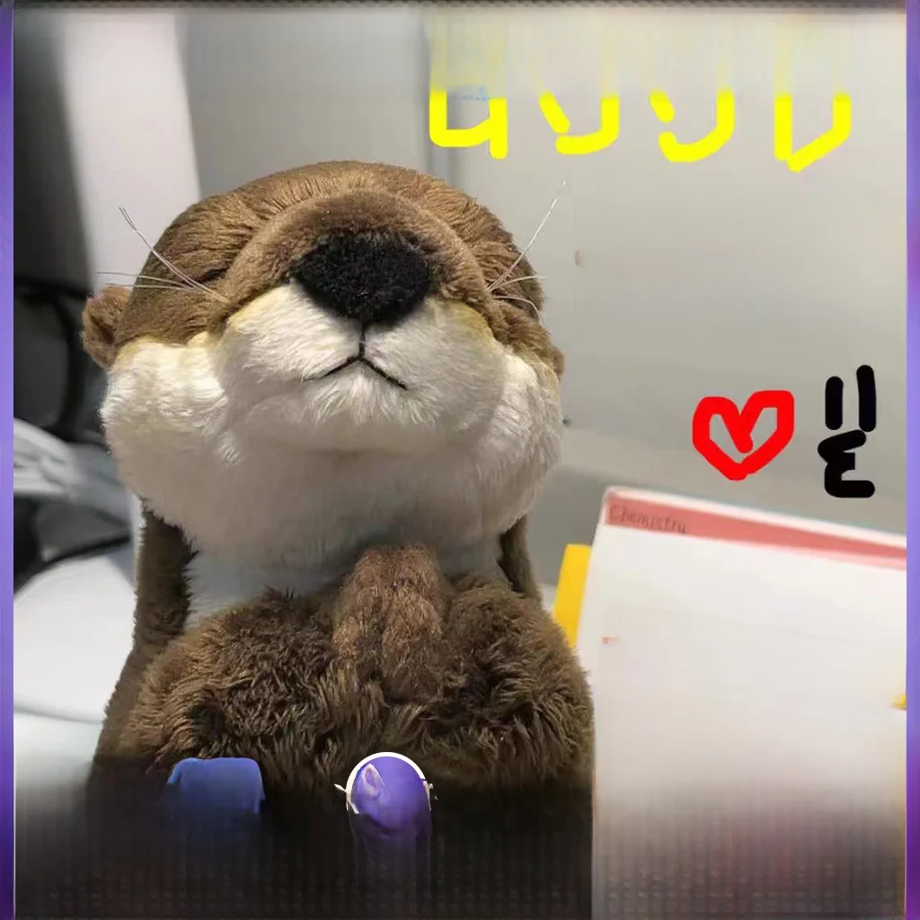 

Adorable Plu Toy Doll Vntine's Day Gift for Best Friend Birthday Soft Stuffed Animal Sealuddu Small Pluie