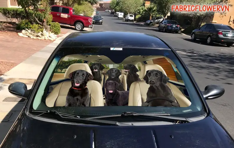 Flat Coated Retriever Car Sunshade, Retriever Car Decoration, Dog Windshield, Dog Lovers Gift, Dog Car Sunshade, Gift For Mom, G