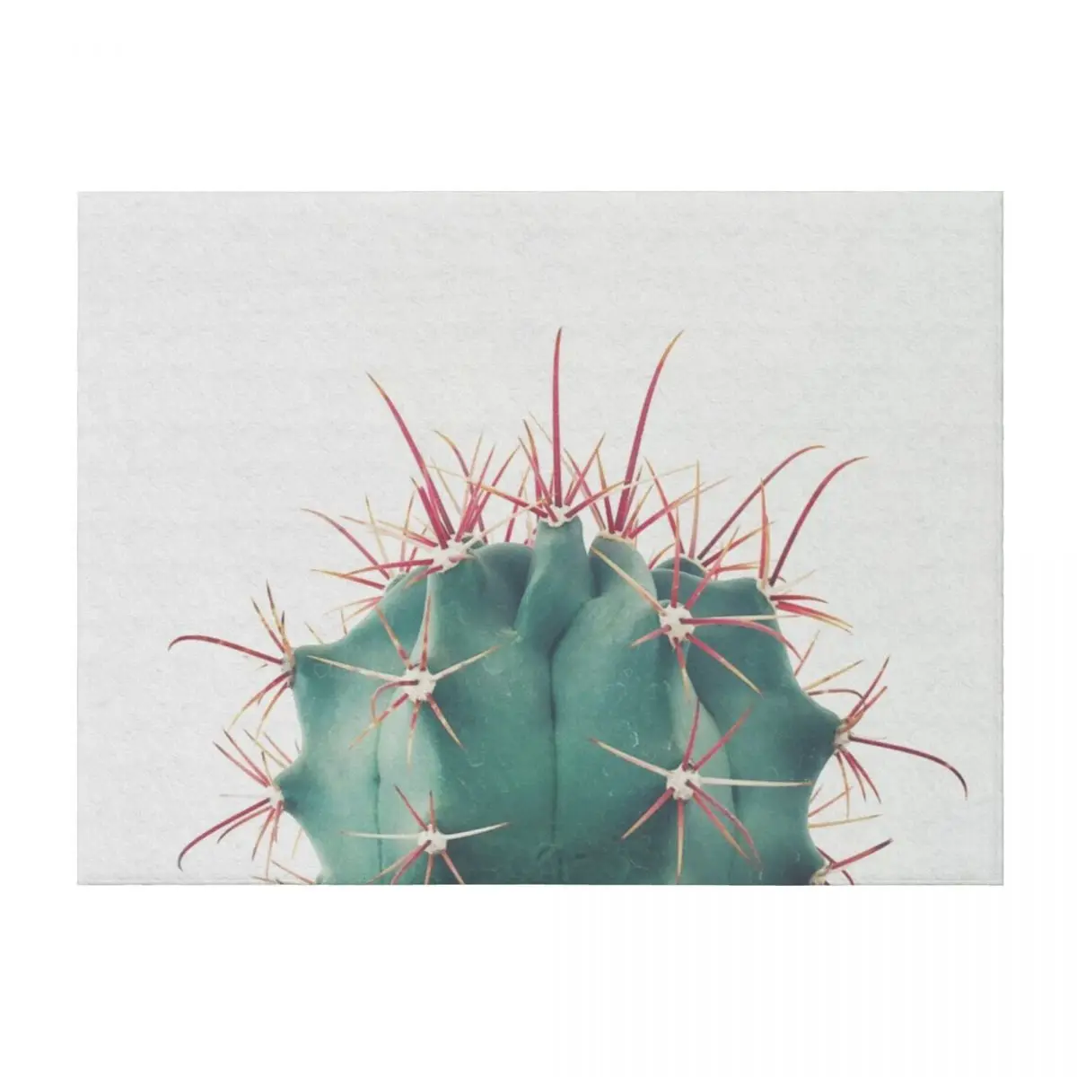 

Ferocactus Throw Blanket Sofa Quilt Thins Flannel Fabric Soft Big Blankets