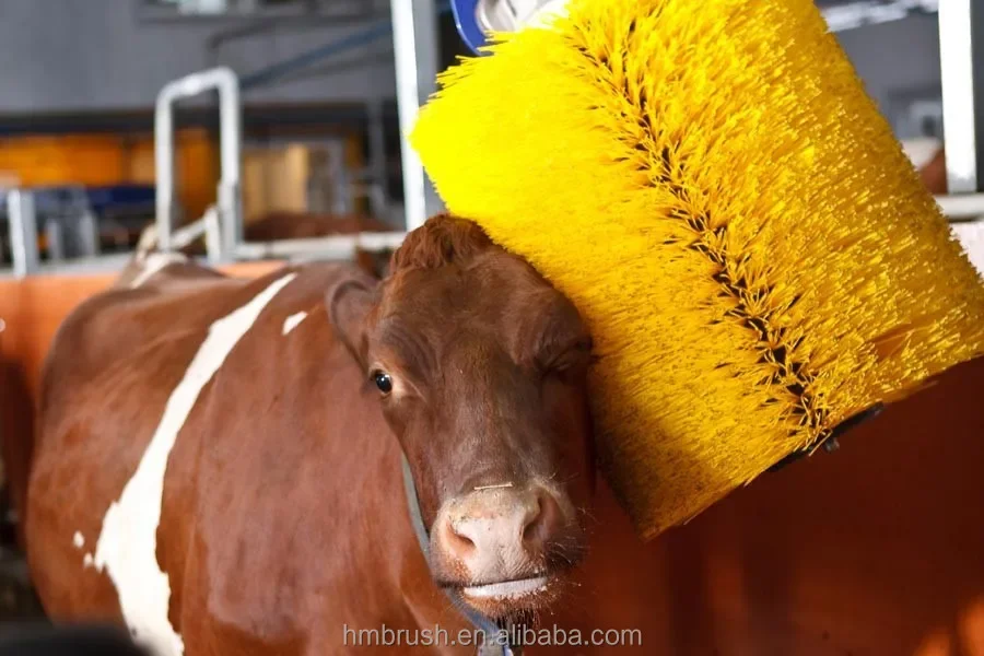 Rotating Cow Brush Replacement Factory