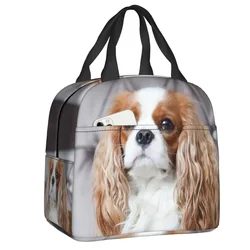 Custom Cavalier King Charles Spaniel Lunch Bag Women Cooler Thermal Insulated Lunch Box per bambini in età scolare