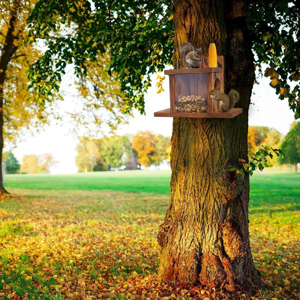 Squirrel Feeder Pine Wood Rustic Squirrel Feeder Pine Chipmunk Feeder House with Transparent for Garden Corn Outside