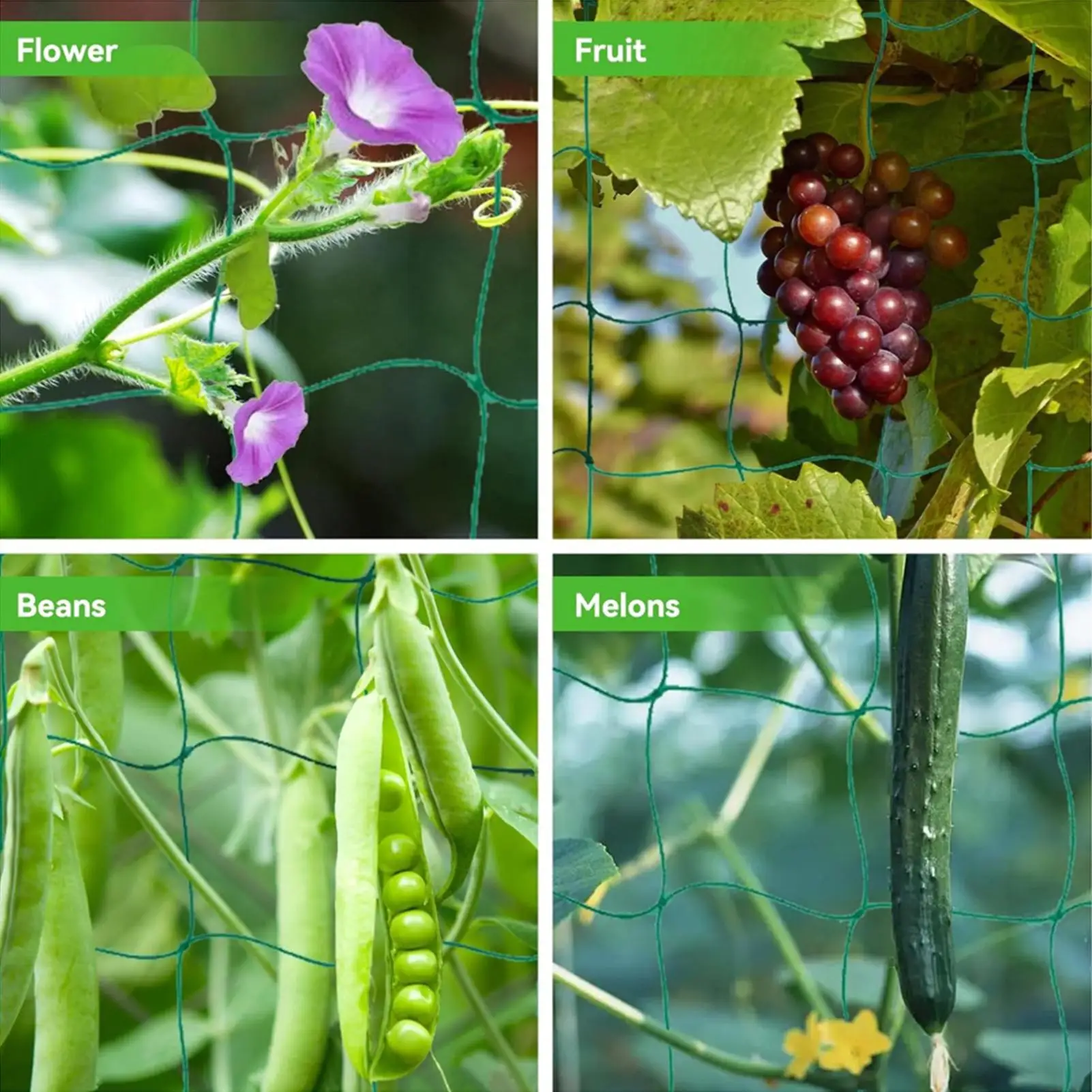 9strand Garden Plant Climbing Net for Flowers Tomato Fruits Vegetables Grapes polyester Trellis Netting 0.9m/1.8m/2.7m/3.6mX1.8M