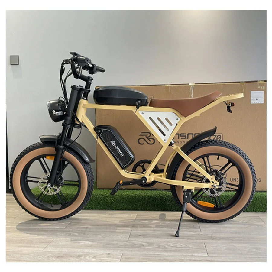 Ebike jansno x70 750W Dual Battery 34AH Top Speed 40KM/H 20*4Fat Tire Electric Bike Mountain Electric Bicycle E-motorcycle