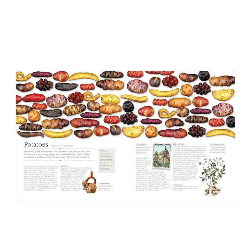 【DK Nature Books】The Food Book English version, social science reading books