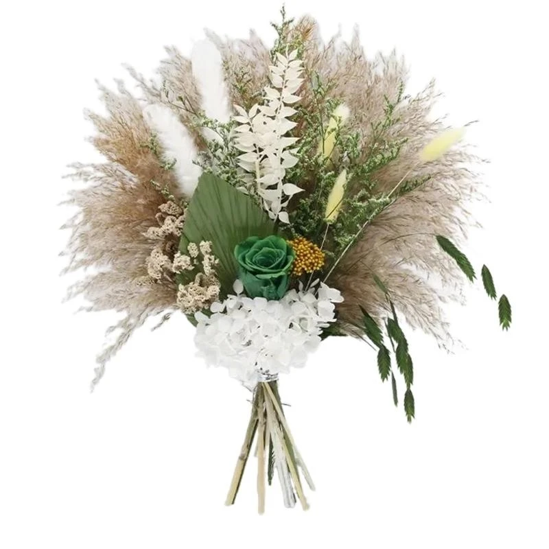 

Versatile Phragmites Bouquet Floral Accessory Complements Various Decors Styles .Y1QB