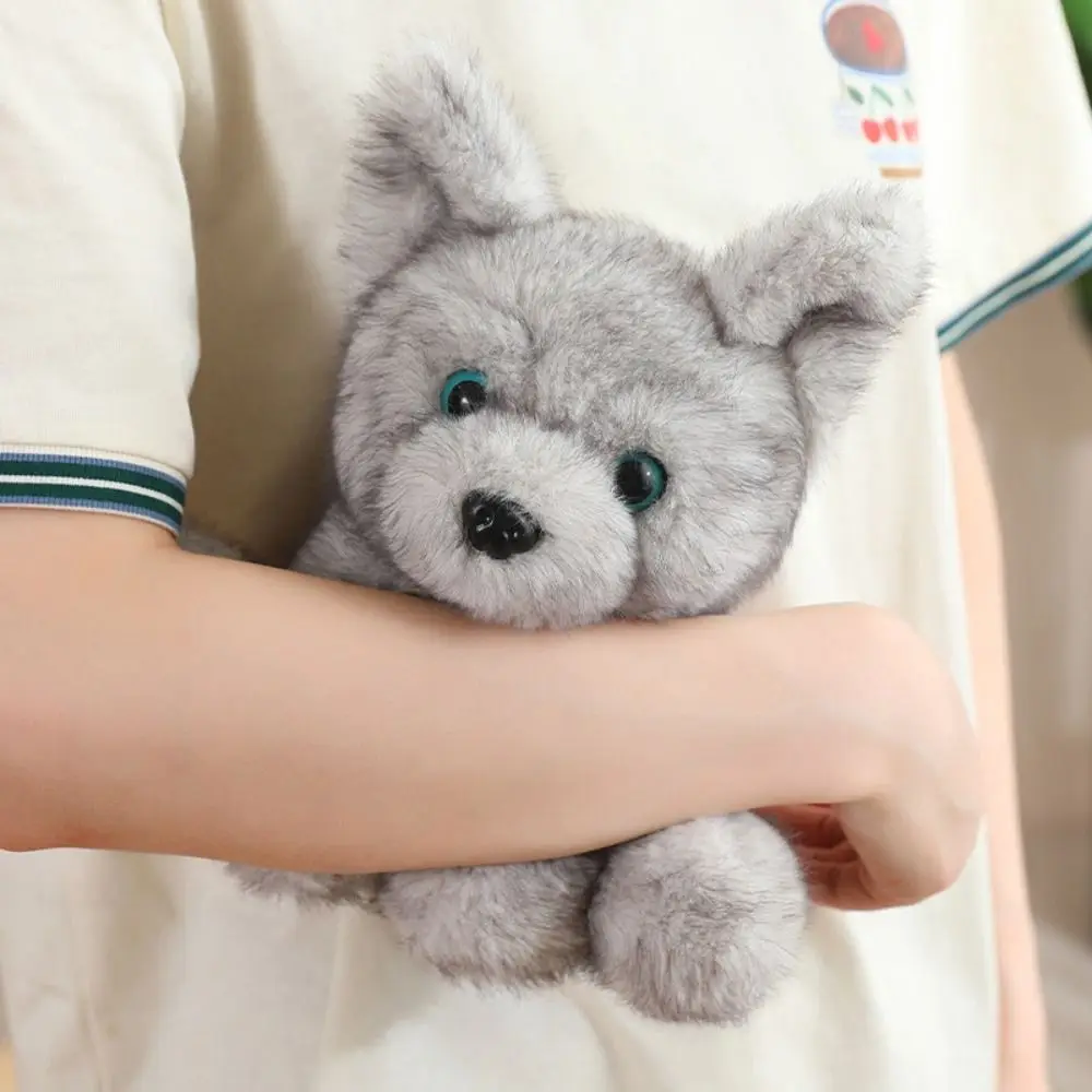 Plushie Raccon Speelgoed Grote Oor Zittende Hond Knuffel Schnauzer Wolfdog Huksy Pluche Pop Schattige Pluizige Baby Hond Kussen Kinderen