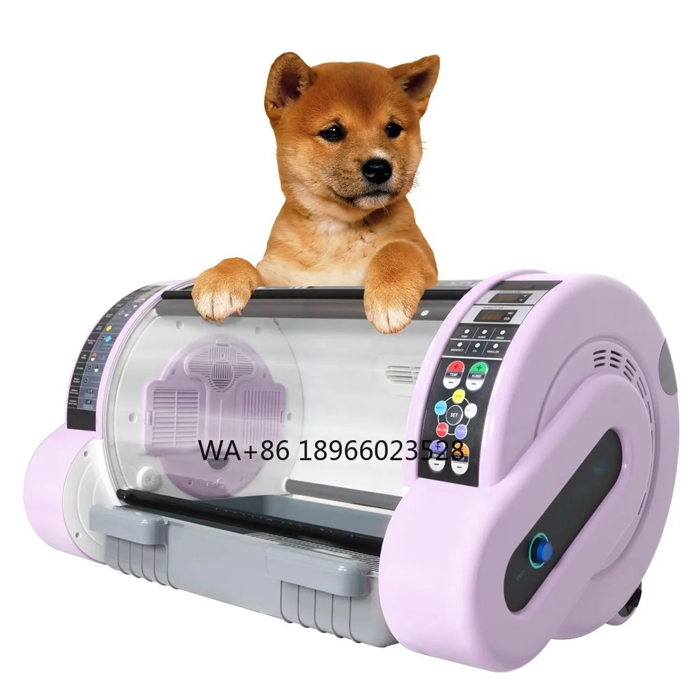 

Professional Young Pet Incubator Machine Pet Icu for Small Animal Use MSLDW01Plus