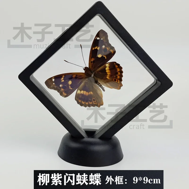 15pcs Real Butterfly Specimens Insect Figurines Production Charm Home Decoration Accessories Living Room Collection Art