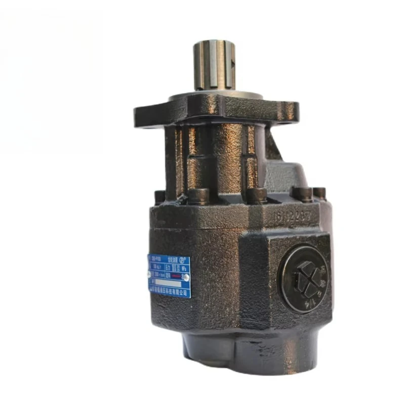 2026Analogue 63/80/90/100 Cc Hydraulic Gear Pump for Tipper