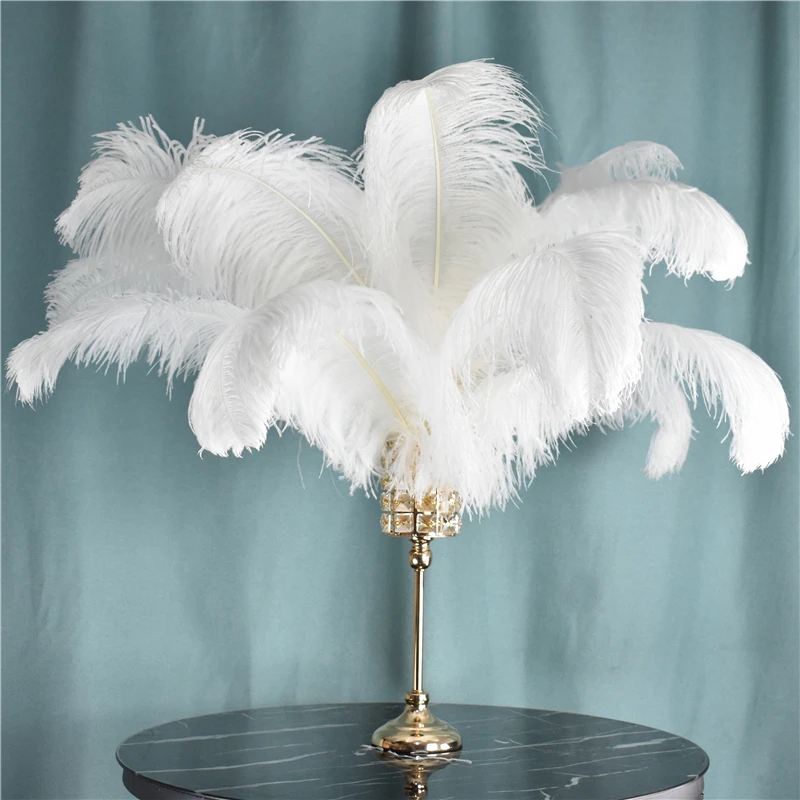White Ostrich Feathers 15-70cm Decorative 10 Pcs