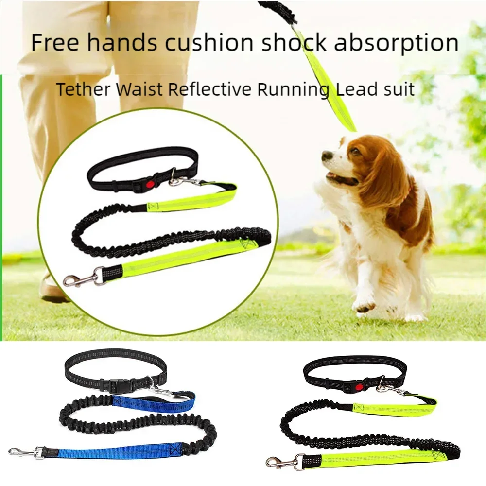 Reflective Leash Traction Rope Pet Dog Running Belt Elastic Hands Freely Jogging Pull Dog Leash Metal D-ring Leashes Harness