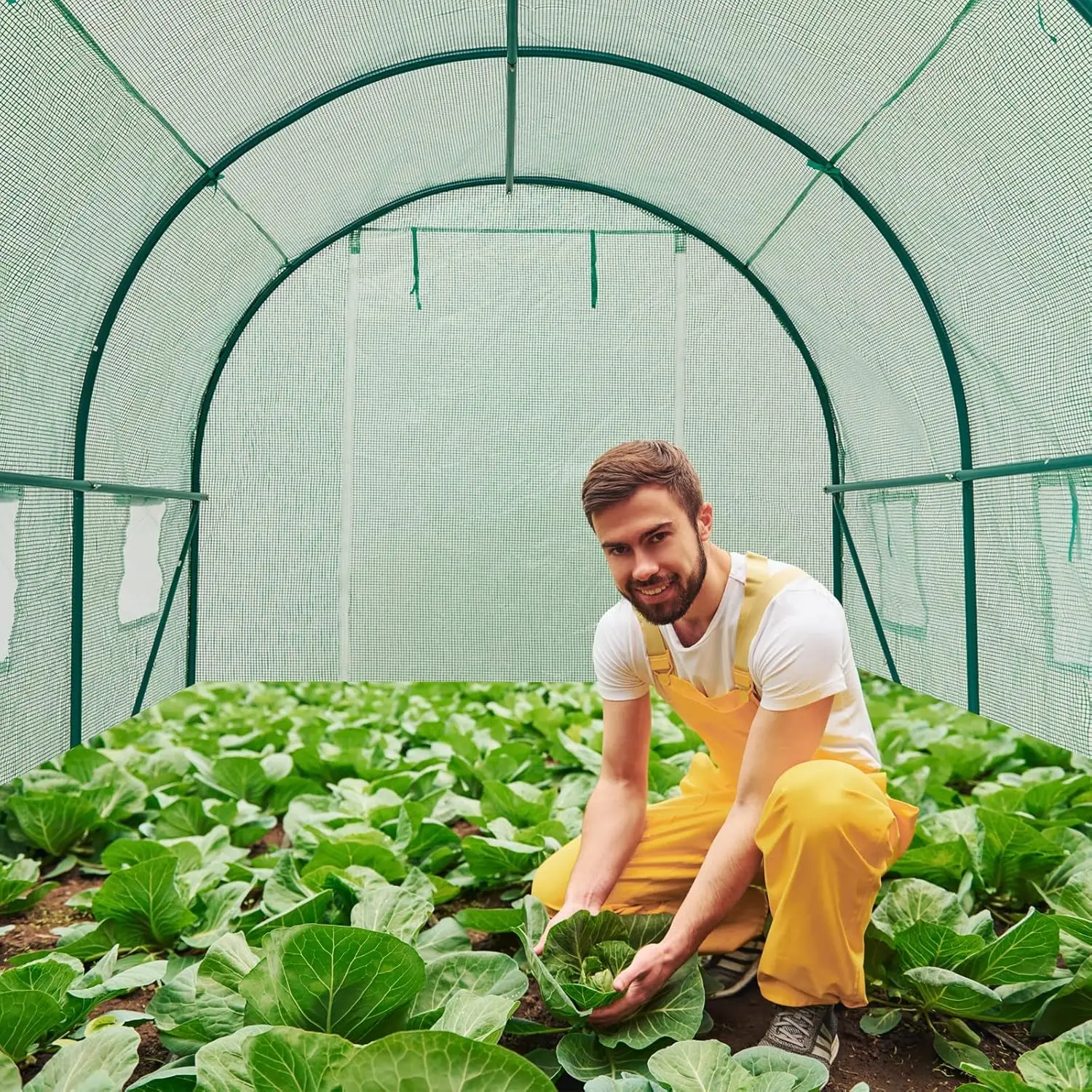 Outdoor Greenhouse Heavy-duty Large Walk-in Greenhouse with Ventilated Windows, Rolling Shutter Doors, Galvanized Frame